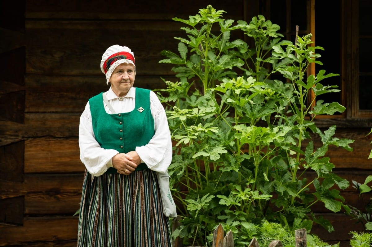 Novadu dienas |15.06.2019-16.06.2019
