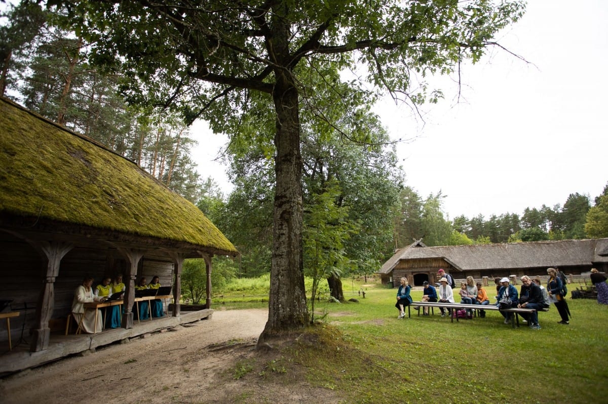 Kokļu diena Pēteros | 29/06/2019