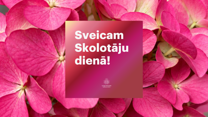 Sveiciens skolotāju dienā. fonā - rozā hortenzijas.