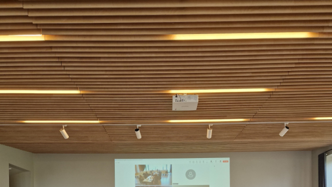 Profesionālās ievirzes izglītības iestāžu direktoru Padomes sēde