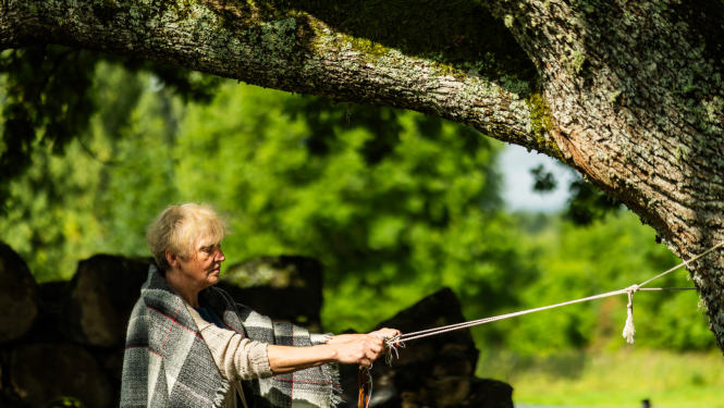 Vēveru dienas Vēveros