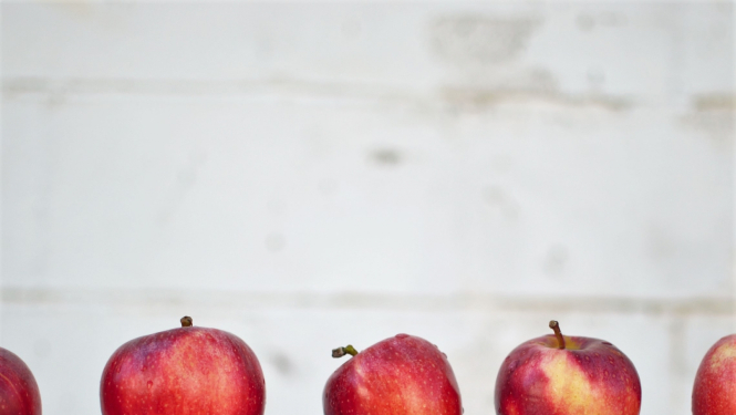 Jaunais mācību gads