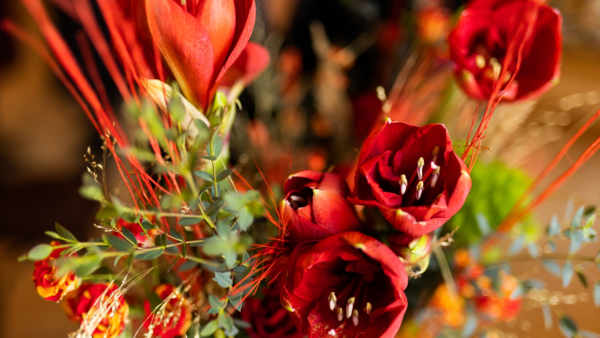 Sārti ziedi tuvplānā