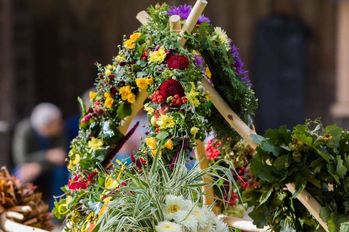 XIV Koru saiets Brāļu Jurjānu memoriālajā muzejā „Meņģeļi”