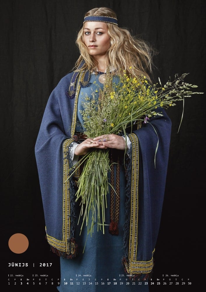 Kalendārs un plānotājs "Dienrādis 2017"