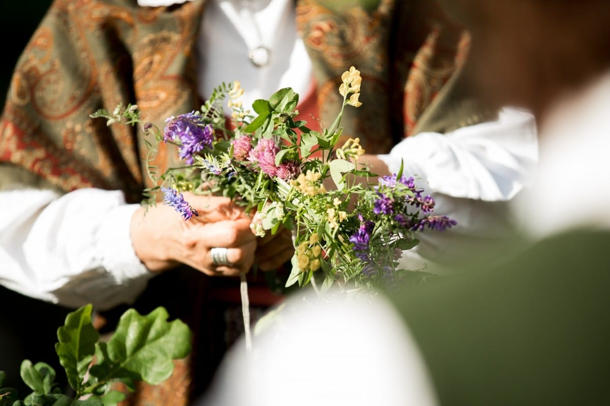 VASARAS SAULGRIEŽI LATVIJAS NOVADOS