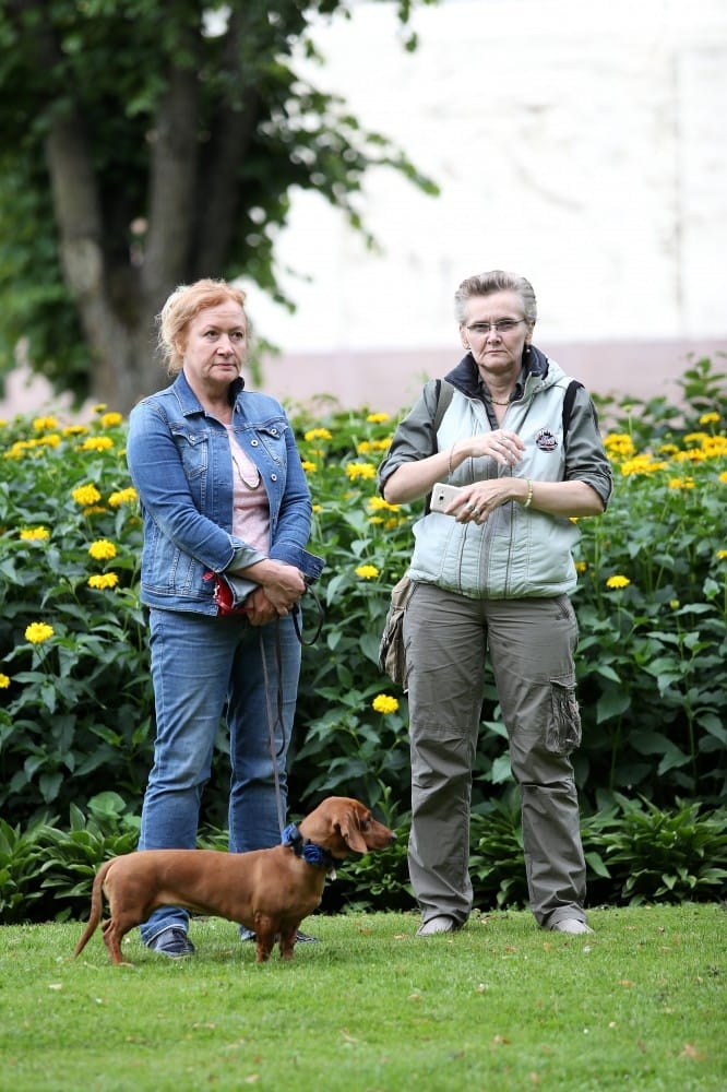 XXVI Vispārējo latviešu Dziesmu un XVI Deju svētku ieskaņas koncerts Bastejkalnā