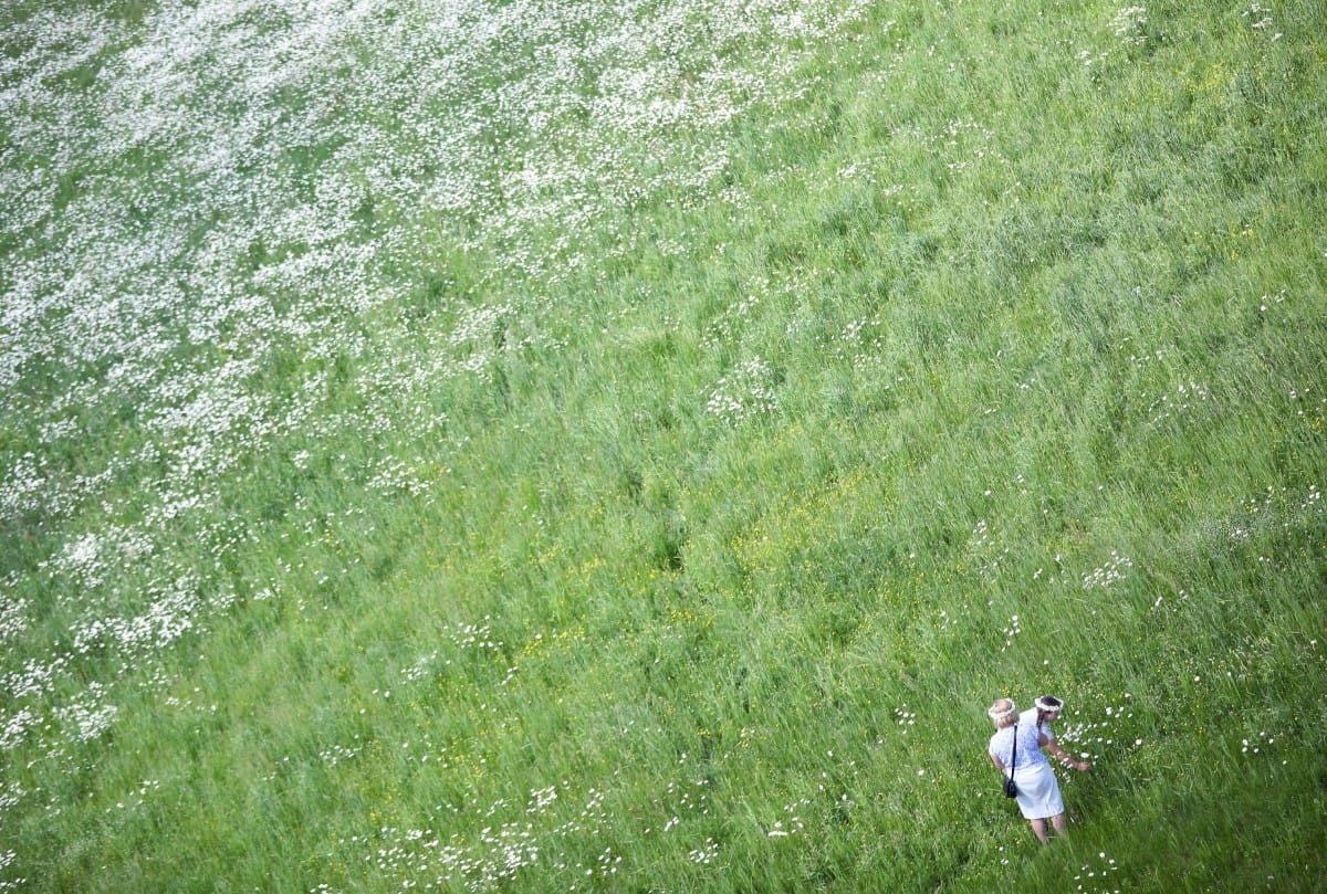 Emiļa Melngaiļa mūzikas svētki |08.06.2019