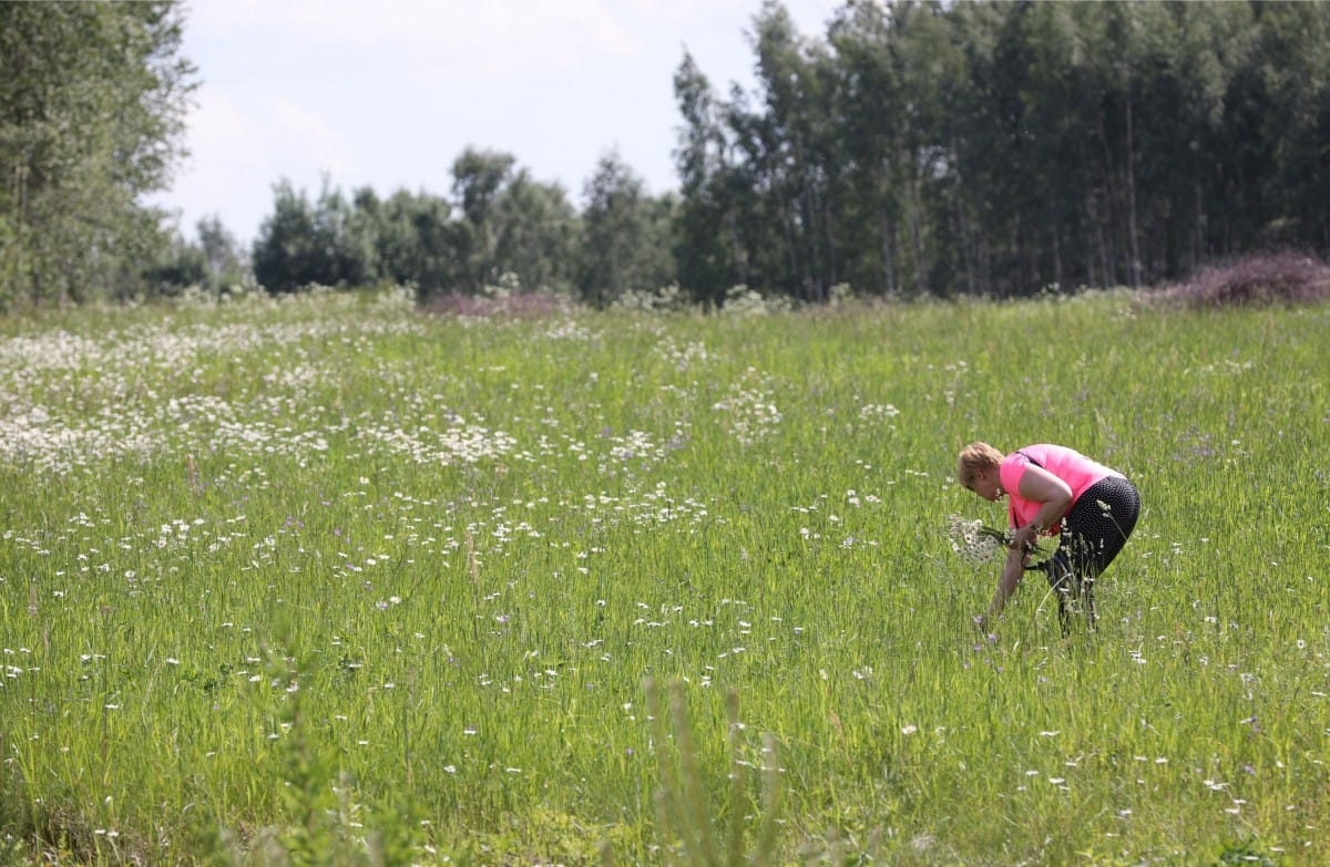 Emiļa Melngaiļa mūzikas svētki |08.06.2019