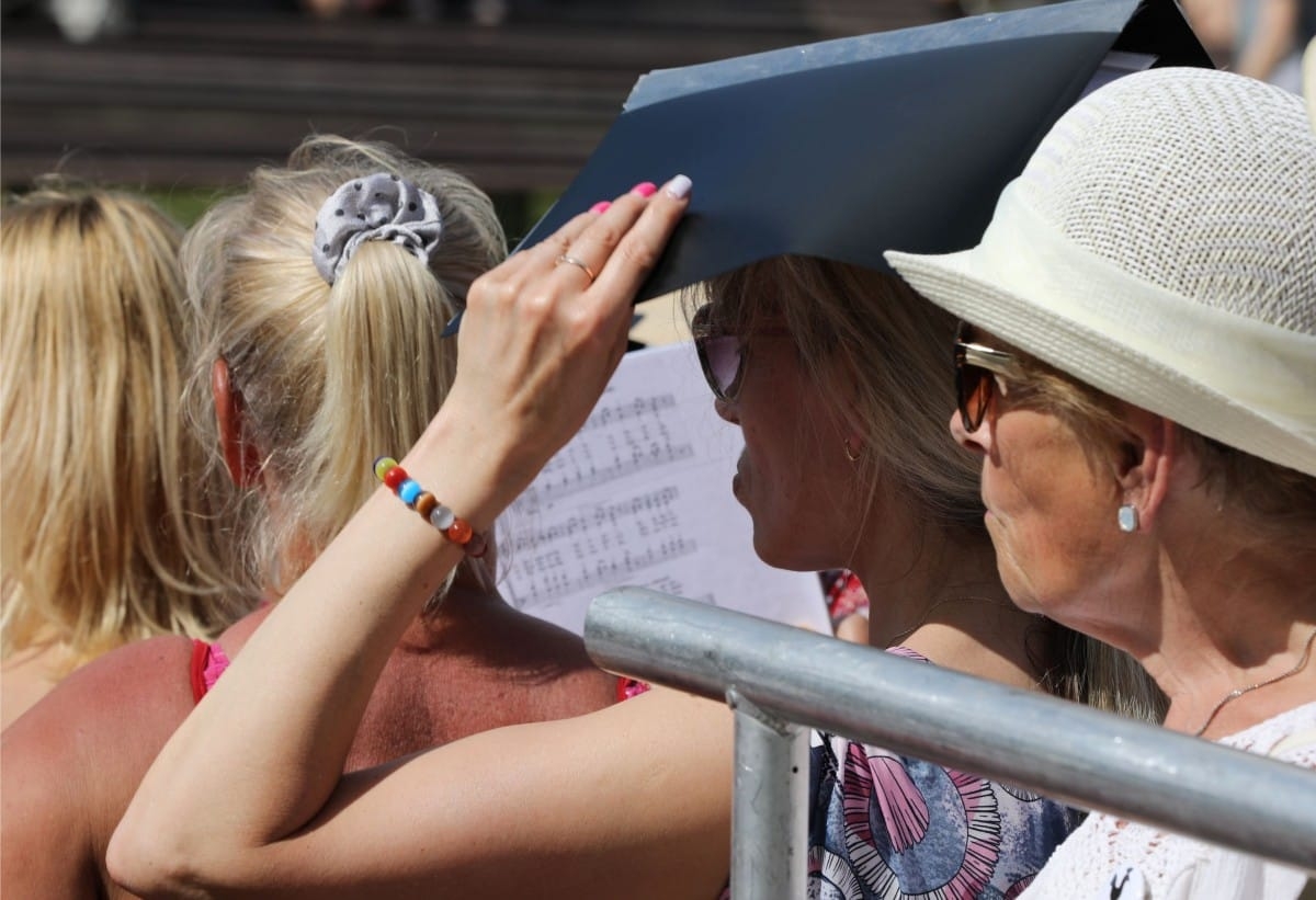 Emiļa Melngaiļa mūzikas svētki |08.06.2019