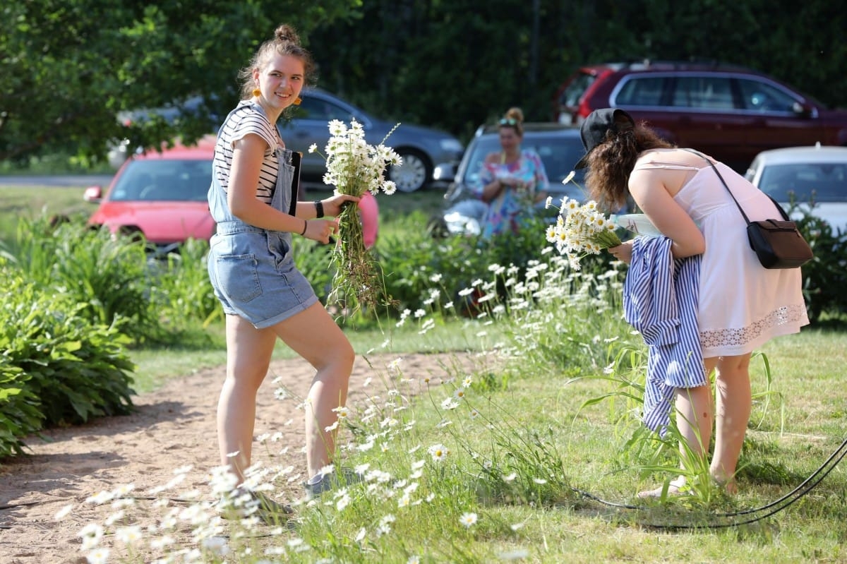 Emiļa Melngaiļa mūzikas svētki |08.06.2019