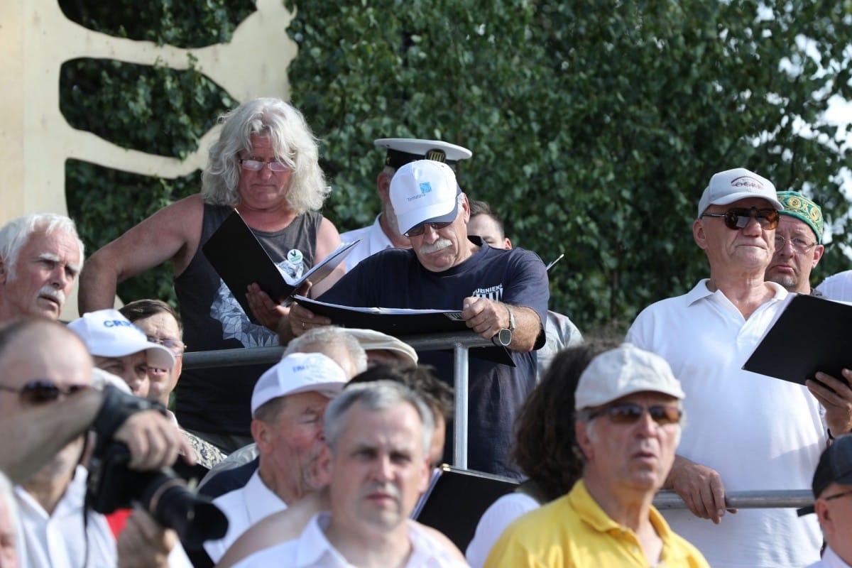 Emiļa Melngaiļa mūzikas svētki |08.06.2019