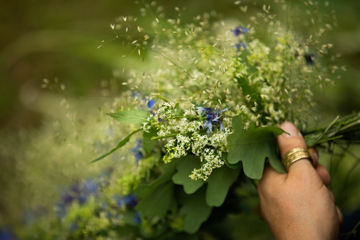 Novadu dienas |15.06.2019-16.06.2019