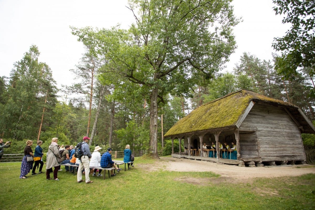 Kokļu diena Pēteros | 29/06/2019
