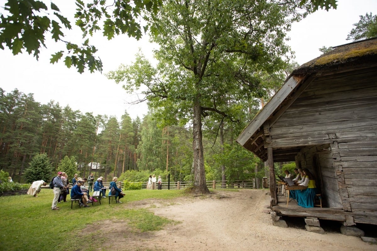 Kokļu diena Pēteros | 29/06/2019