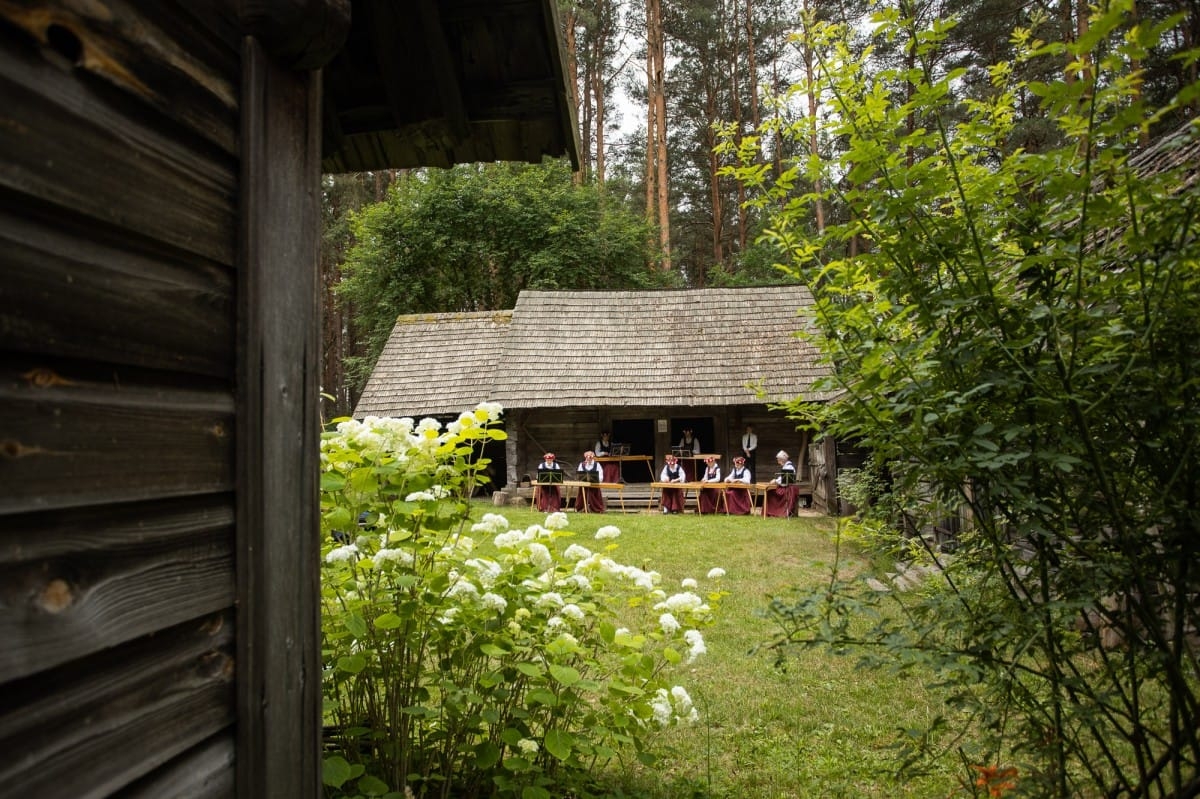 Kokļu diena Pēteros | 29/06/2019