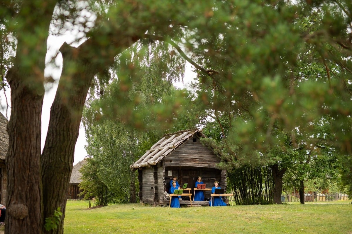 Kokļu diena Pēteros | 29/06/2019