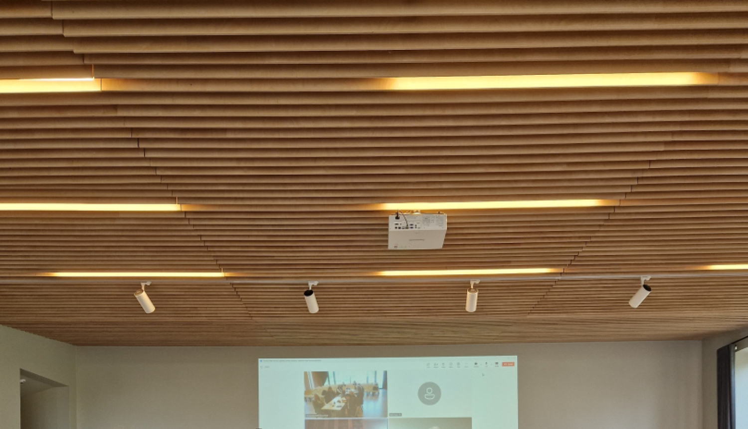 Profesionālās ievirzes izglītības iestāžu direktoru Padomes sēde