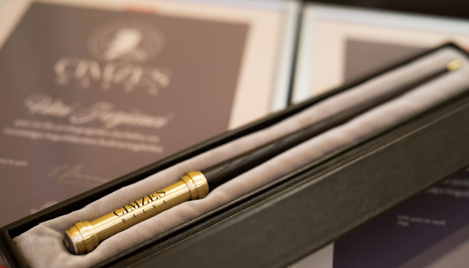 Cimzes balvas zizlis nolikts uz diploma