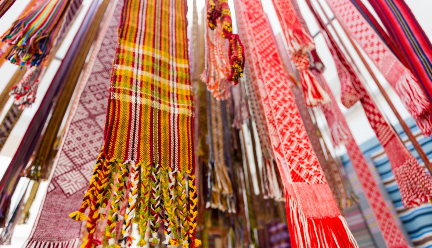 Izstādes koncepcija